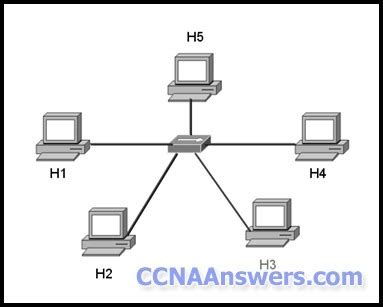 ccna discovery 1 chapter 3 Reader