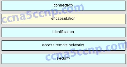 ccna3 chapter 1 answers Kindle Editon