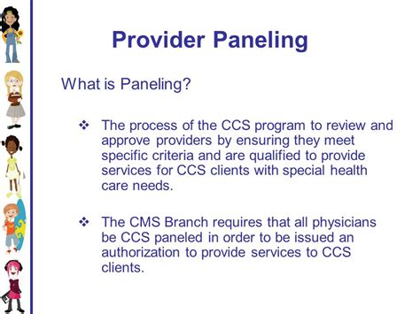 ccs panel provider