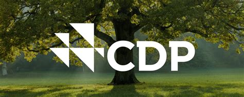 cdp carbon disclosure project