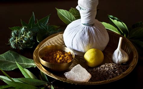 ceet ayurveda: A Revolutionary Approach to Ayurvedic Healing