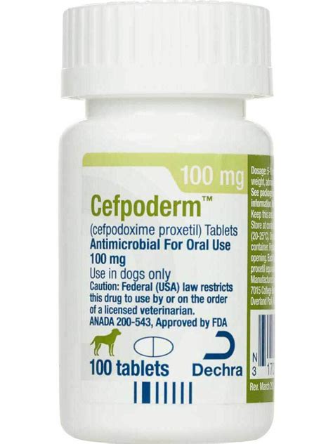 cefpodoxime dog