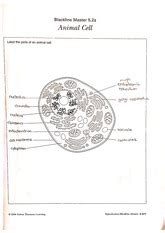 cell diagram blackline master pdf Kindle Editon