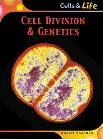 cell division and genetics cells and life Reader