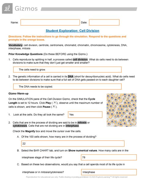 cell division gizmo answer key PDF