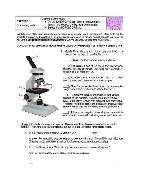 cell exploration activities answer key Epub