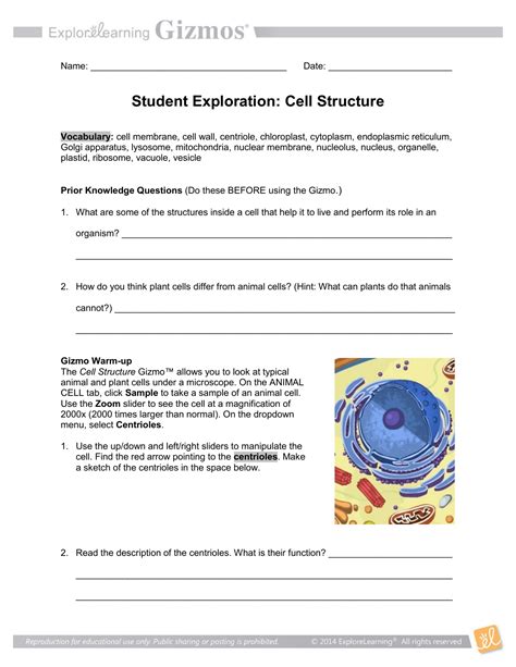 cell exploration activities answer key Ebook PDF
