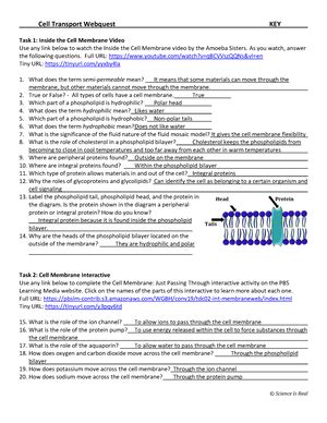 cell membrane and cell transport webquest answer key Doc