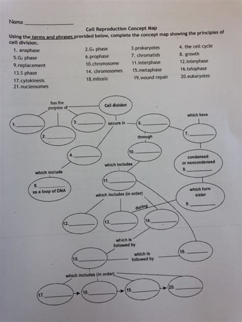 cell reproduction concept map answers Kindle Editon