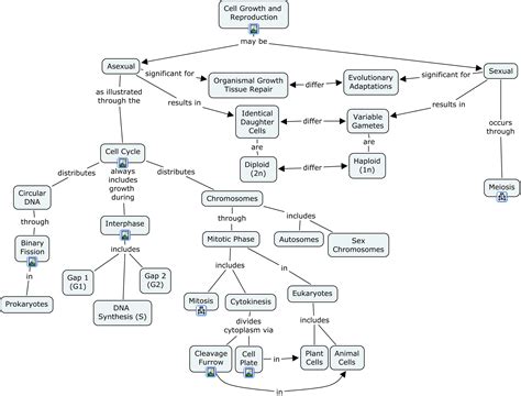 cell reproduction concept map answers Kindle Editon