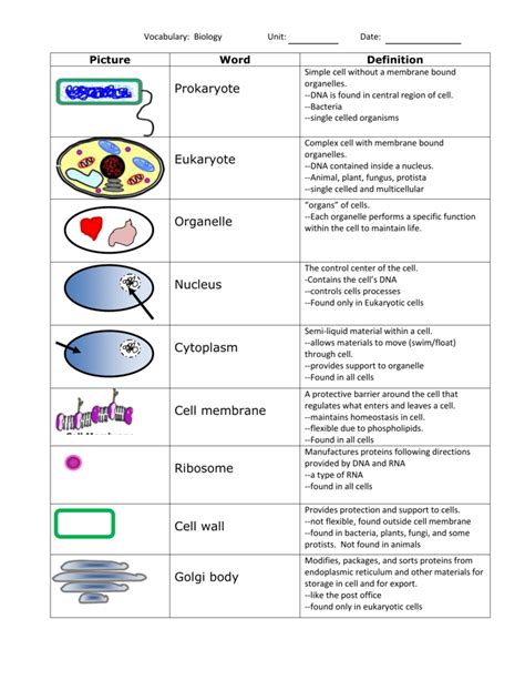 cell structure and function vocabulary practice key Reader