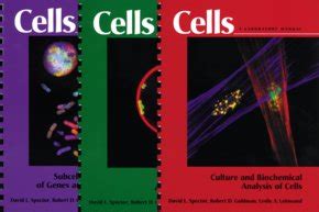 cells a laboratory manual 3 volume set Reader