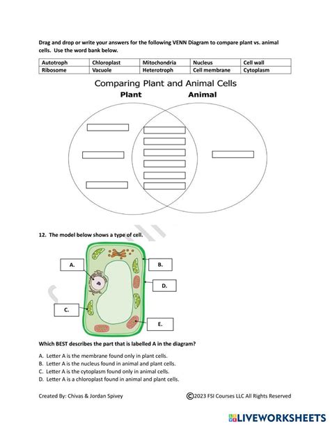 cells and genetics for 5th grade Doc