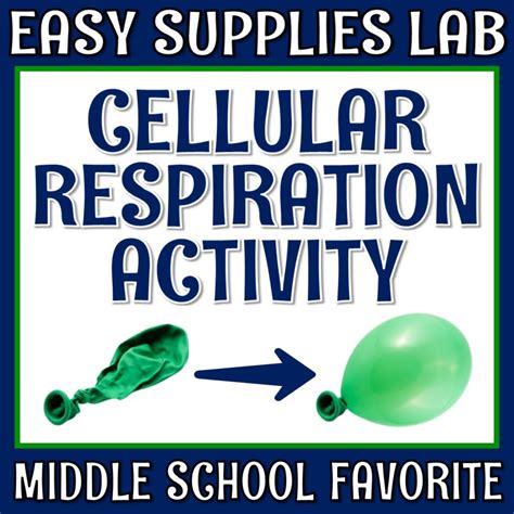 cellular respiration lab