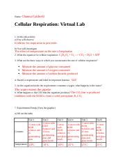 cellular respiration virtual labs answer key Doc