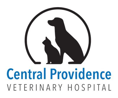central providence vet