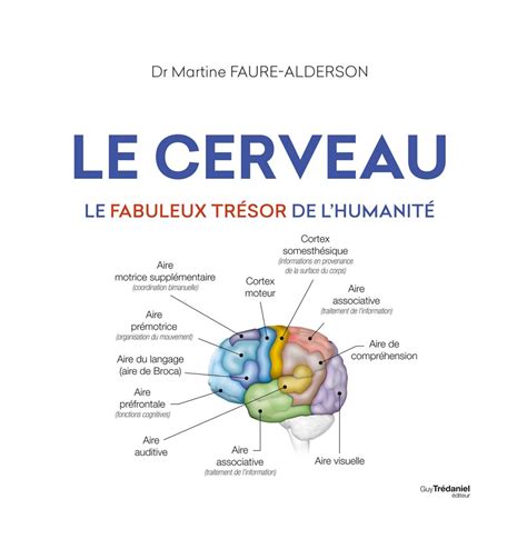 cerveau id es re ues sur cerveau ebook PDF