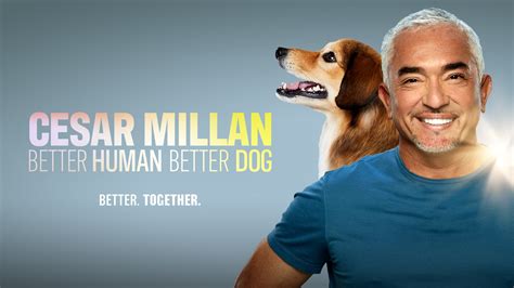 cesar millan better human better dog