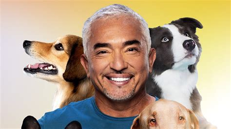 cesar millan tv program