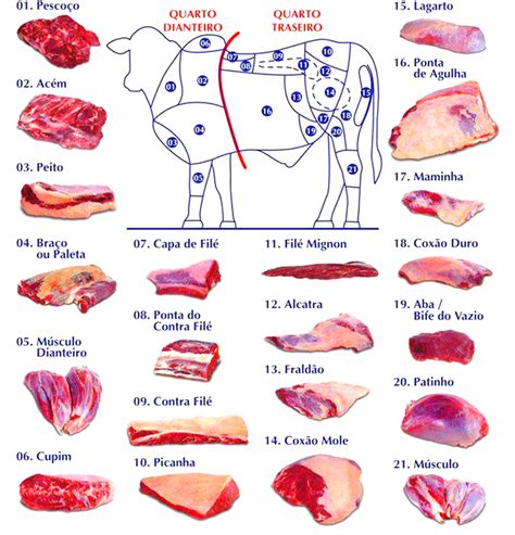 cest carne bovina