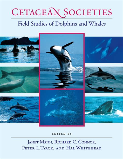 cetacean societies field studies of dolphins and whales Epub