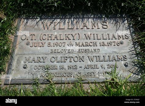 chalky williams