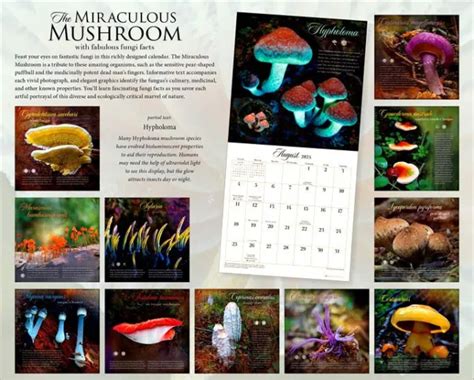 champignon 2016 calendrier mural Reader