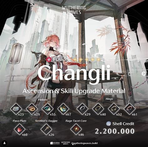 changli wuwa build