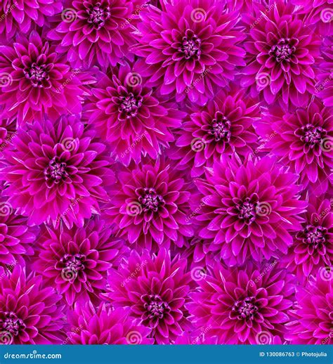 chaotic and purple flower