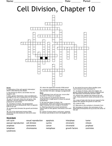 chapter 10 cell division crossword PDF