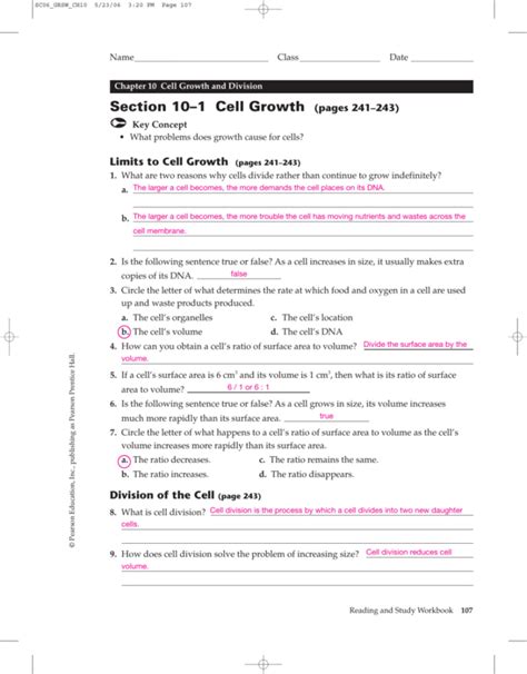 chapter 10 cell growth and division test answer key PDF