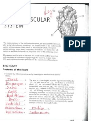 chapter 11 cardiovascular system answer key Doc