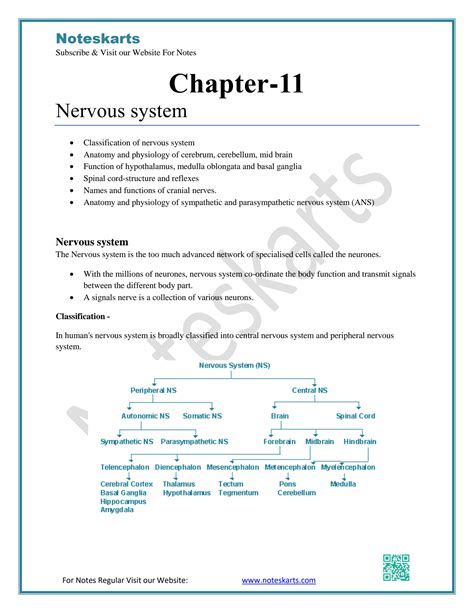 chapter 11 nervous system PDF