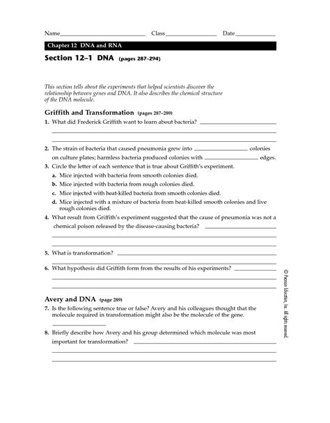 chapter 12 1 dna and rna answer key Doc