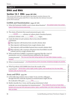 chapter 12 dna and rna answer key PDF