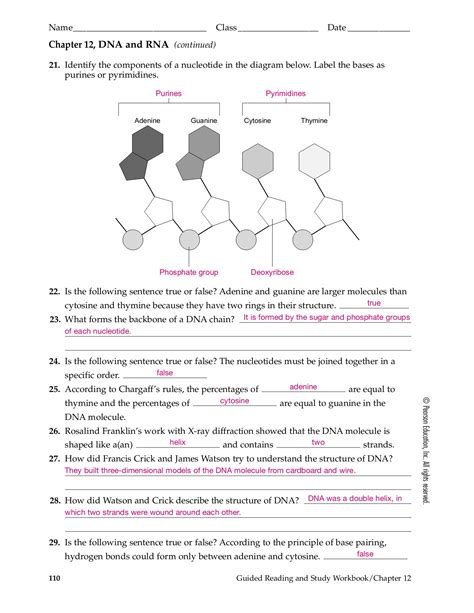 chapter 12 dna rna section review 12 3 answer key Epub