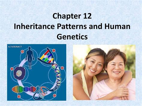 chapter 12 inheritance patterns and human genetics test answers Kindle Editon