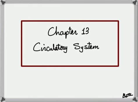 chapter 13 circulatory system Kindle Editon