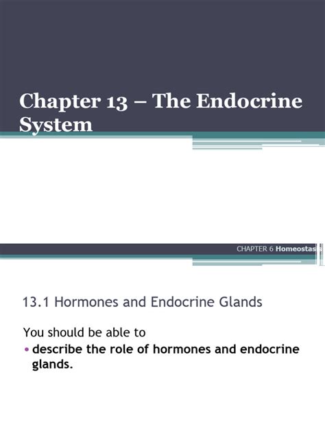 chapter 13 endocrine system test PDF