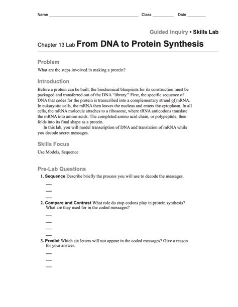 chapter 13 lab from dna o protien synthesis PDF