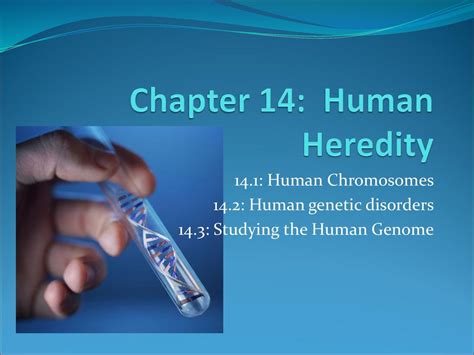 chapter 14 human heredity PDF