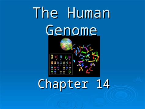 chapter 14 the human genome inquiry activity Epub