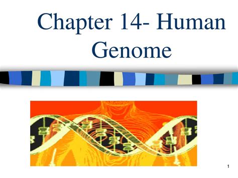 chapter 14 the human genome wordwise Kindle Editon