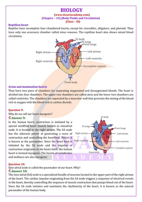 chapter 15 biology answer key PDF