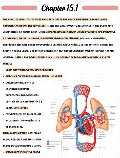 chapter 15 cardiovascular system answer Reader
