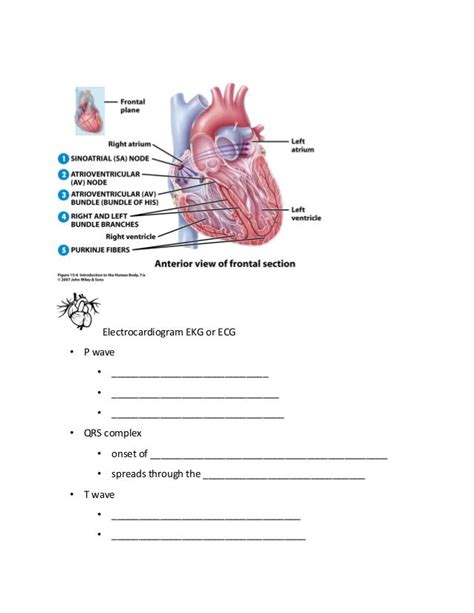 chapter 15 cardiovascular system mastery test answers Kindle Editon