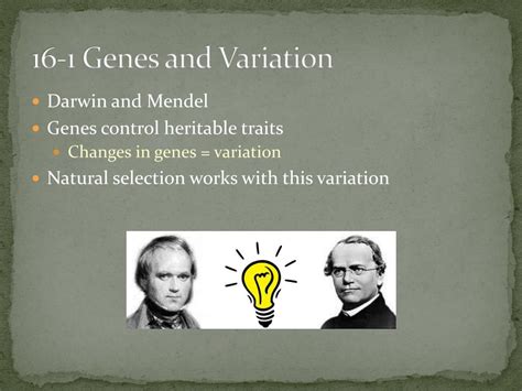 chapter 16 1 genes and variation Kindle Editon