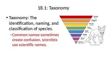 chapter 18 classification answer key pearson education PDF