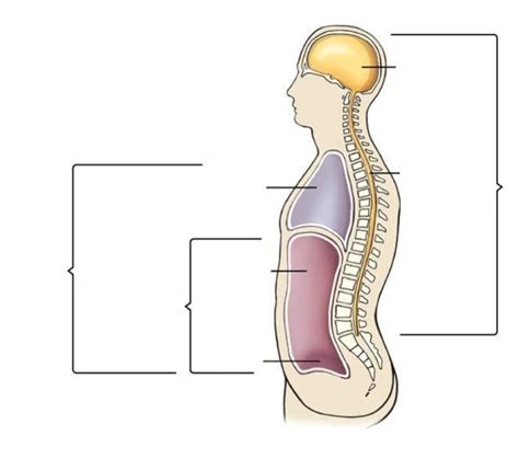 chapter 2 anatomy quizlet Reader