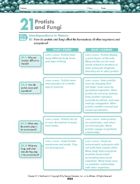 chapter 21 fungi section answer key Doc